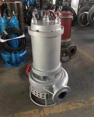 4hp 150hp Slurry Submersible Pump Suitable for Heavy Duty in Duck Farm Pump Type Submersible Offering Stable and Pumping