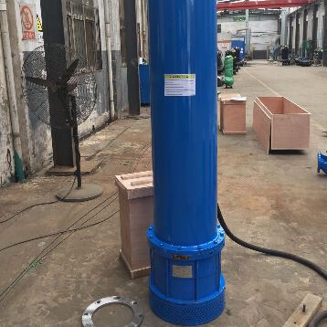 Bottom Suction Electric Submersible Pump Engineered for High Head Drainage and Low-Level Water Extraction