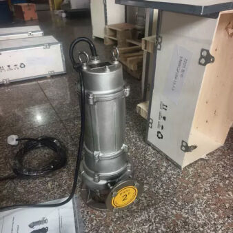 100WQP100-15-7.5KW Paslanmaz Çelik Denizaltı Kanalizasyon Pompası.