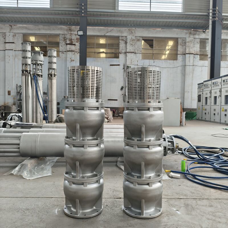 6 Inch Duplex Paslanmaz Çelik 2205 15 m3/h akış ve 180m başlı Derin Kuyu Denizaltı Pompası