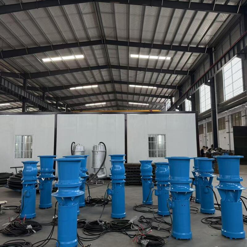 Yüksek Debili Drenaj için 1300 m³/saat Debi ve 8 m Basma Yüksekliğine Sahip 45kW Dalgıç Eksenel Akış Pompası