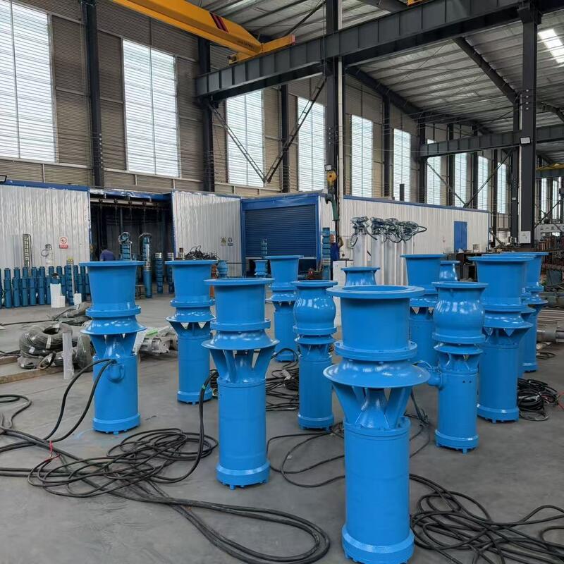 Yüksek Debili Drenaj için 1300 m³/saat Debi ve 8 m Basma Yüksekliğine Sahip 45kW Dalgıç Eksenel Akış Pompası