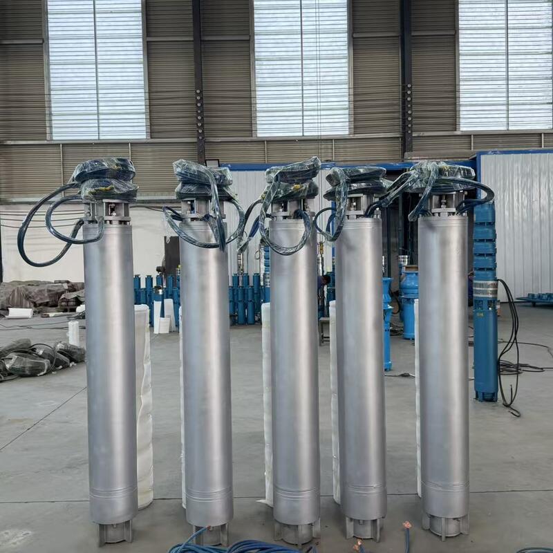 75KW Paslanmaz Çelik Deniz Suyu Pompası 300 m3/h akış hızı ile Derin Kuyu Uygulamaları için