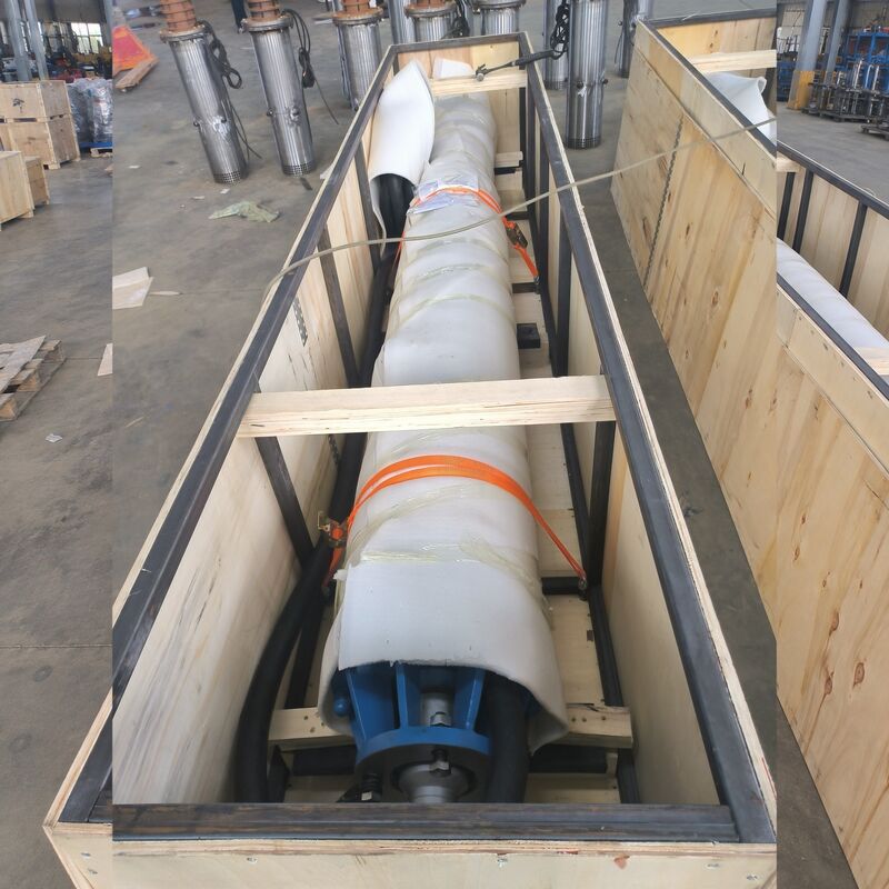 Boksit Madeni Drenajı İçin Paslanmaz Çelik Pervaneli 300KW Yüksek Gerilim Dalgıç Su Pompası