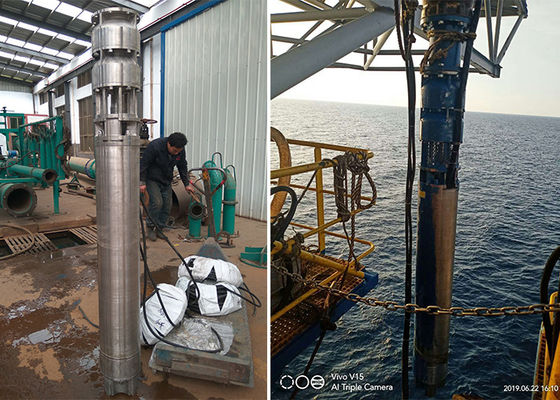 Deniz suyu derin kuyu dalgıç pompası 75kw 100hp SS316L malzeme 60m baş